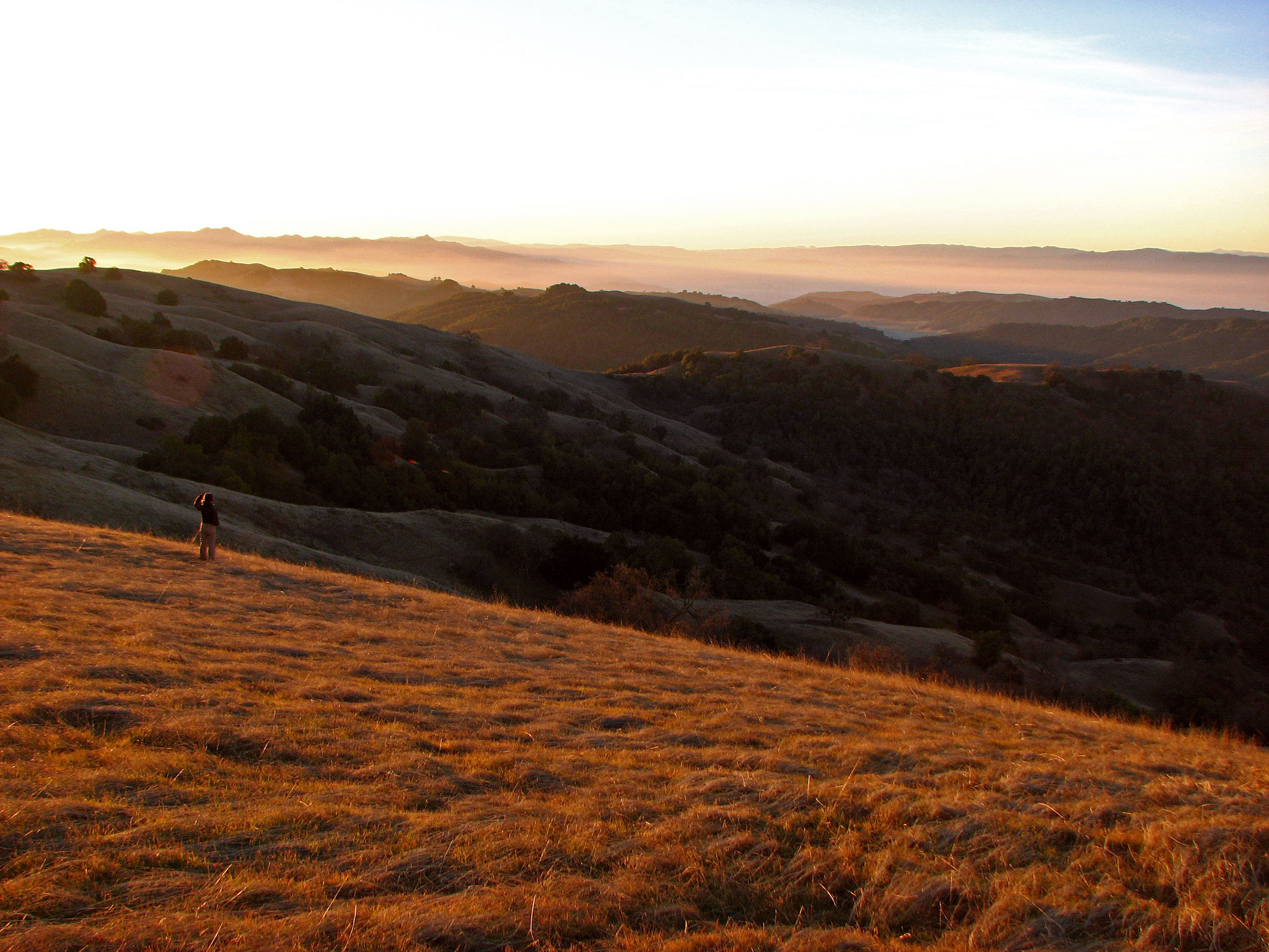 Henry Coe State Park, CA 2013 by J.D. Grubb Photography
